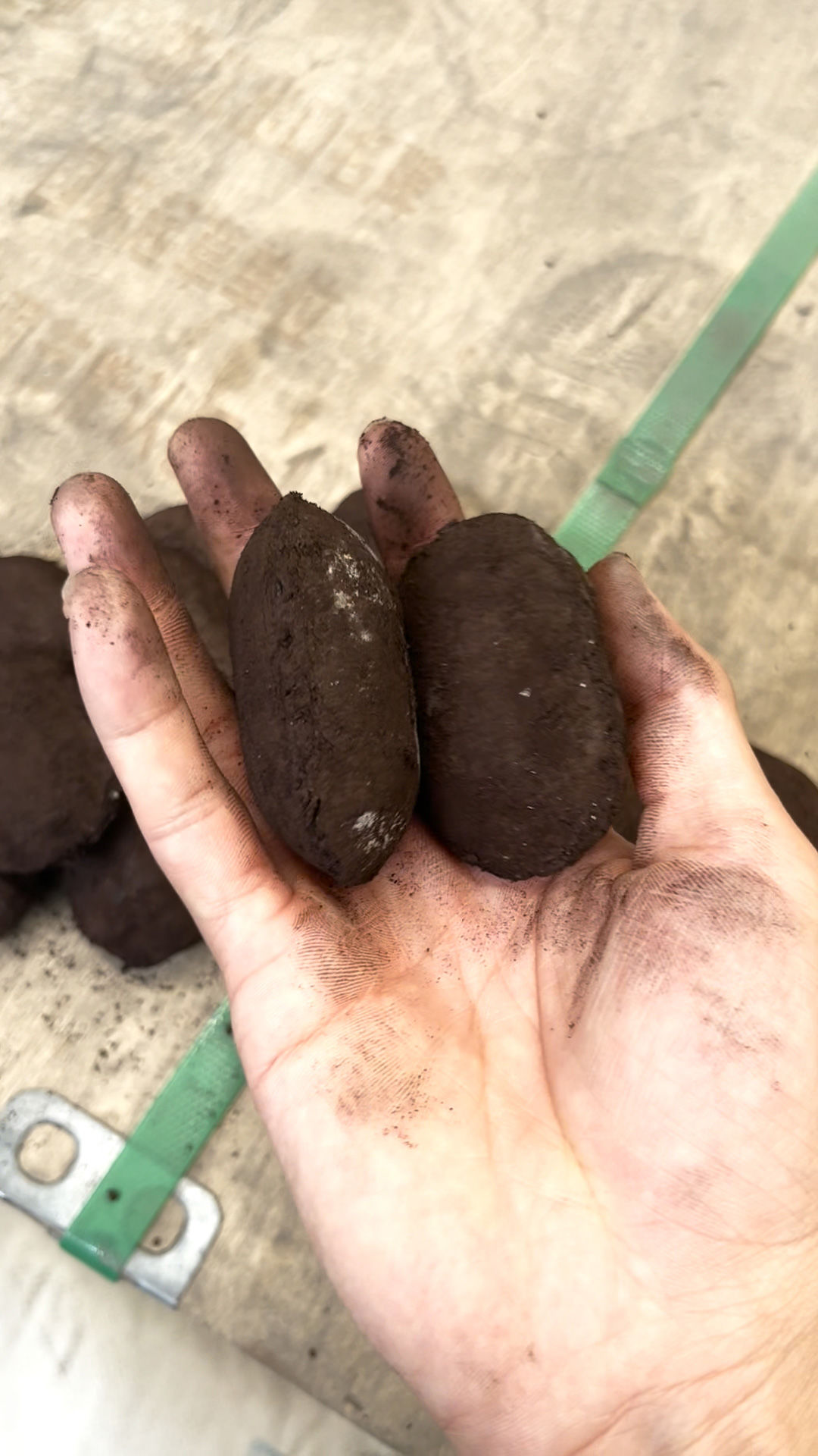 球團在烘干的時候總是崩解，粉化